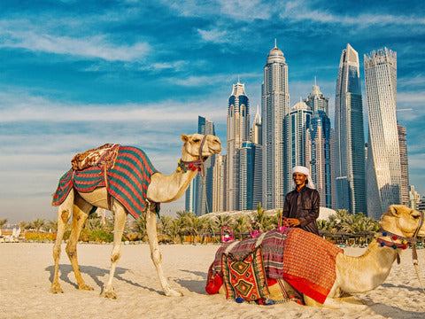 Halloween per single a Dubai