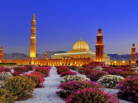 Tour Oman e Oasi