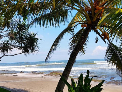Settimana per single a Bali