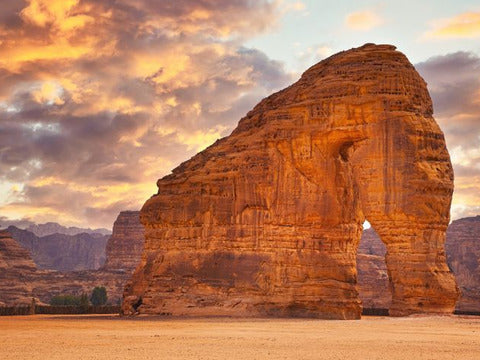Ponte Immacolata Tour Arabia e Alula