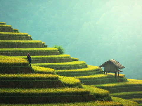 Settimana per single a Bali