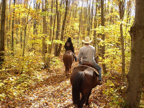 Weekend cavallo e terme SINGOLA GRATIS