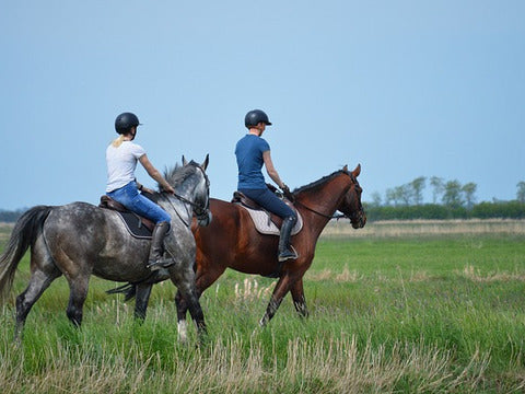 Weekend cavallo e terme SINGOLA GRATIS