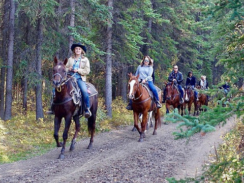 Weekend cavallo e terme SINGOLA GRATIS