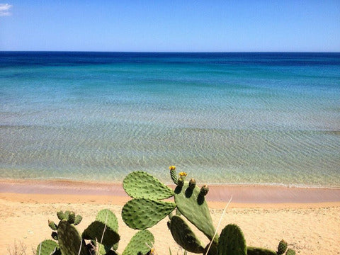 Settimana per single in Sicilia