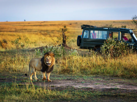 Capodanno per single in Kenya